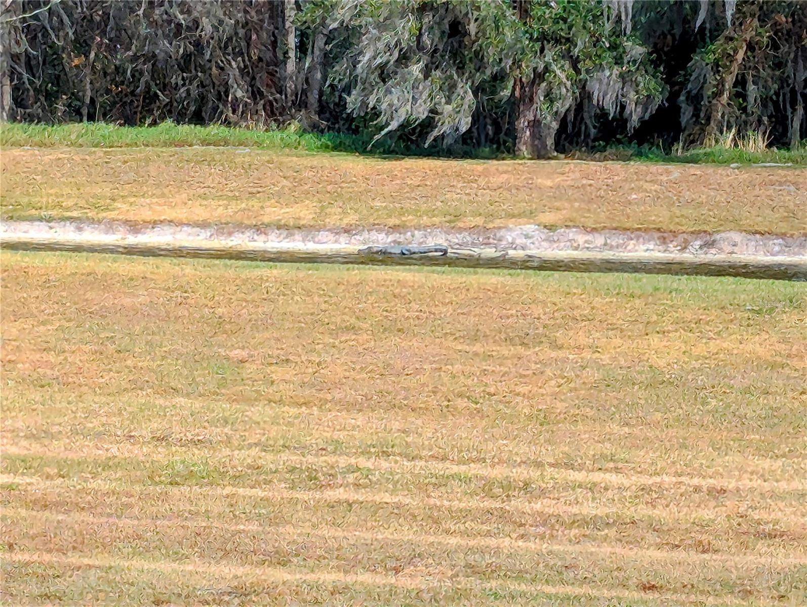 Image 50 of 60 For 730 River Grass Lane