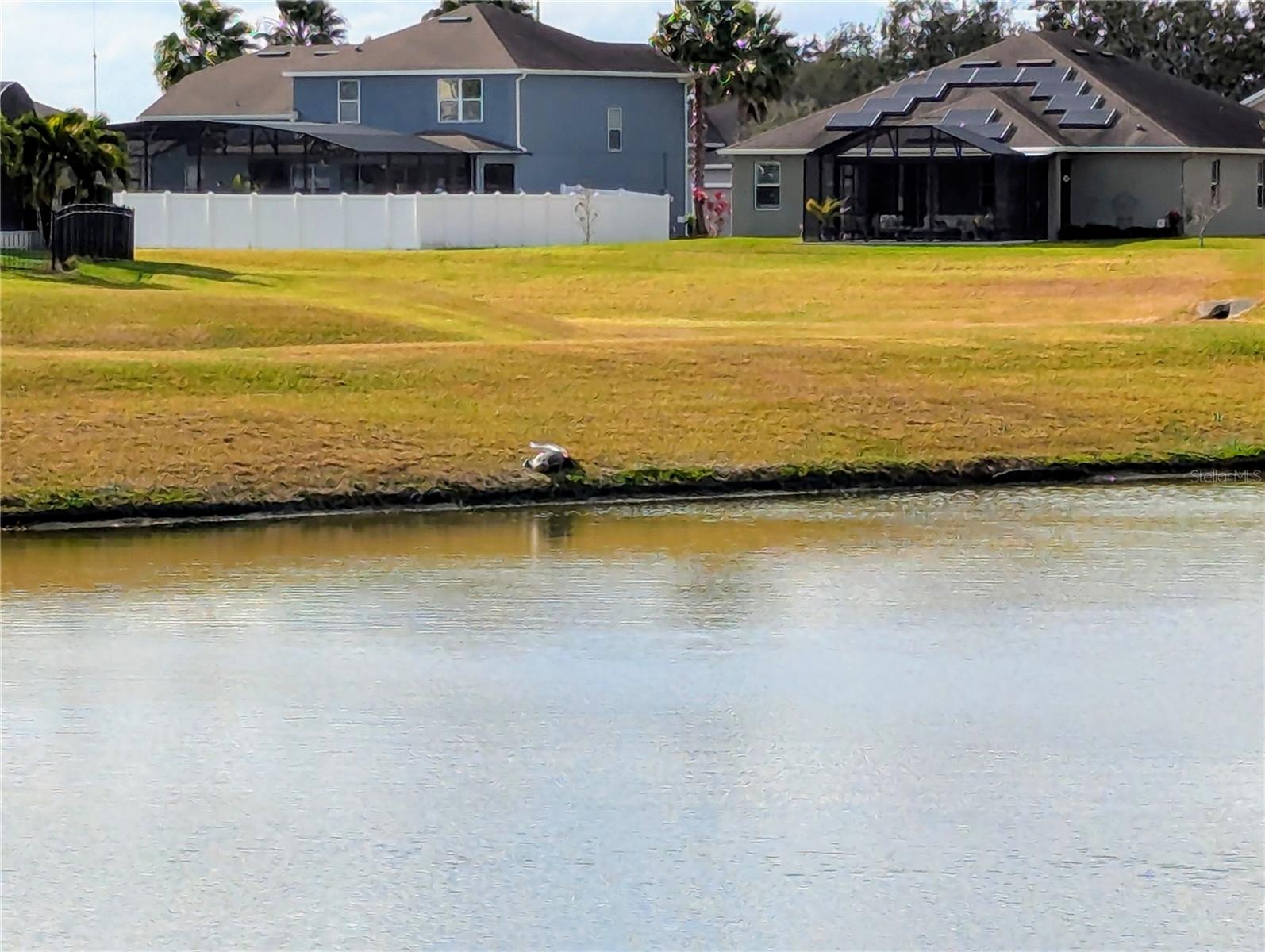 Image 54 of 60 For 730 River Grass Lane