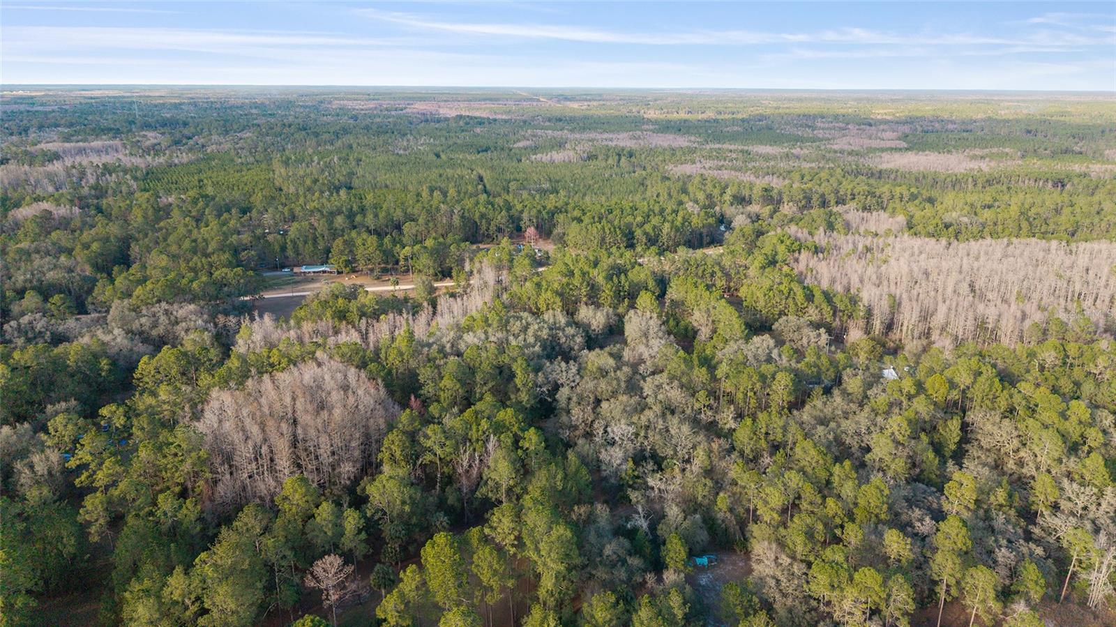 Image 32 of 41 For 12264 139th Place