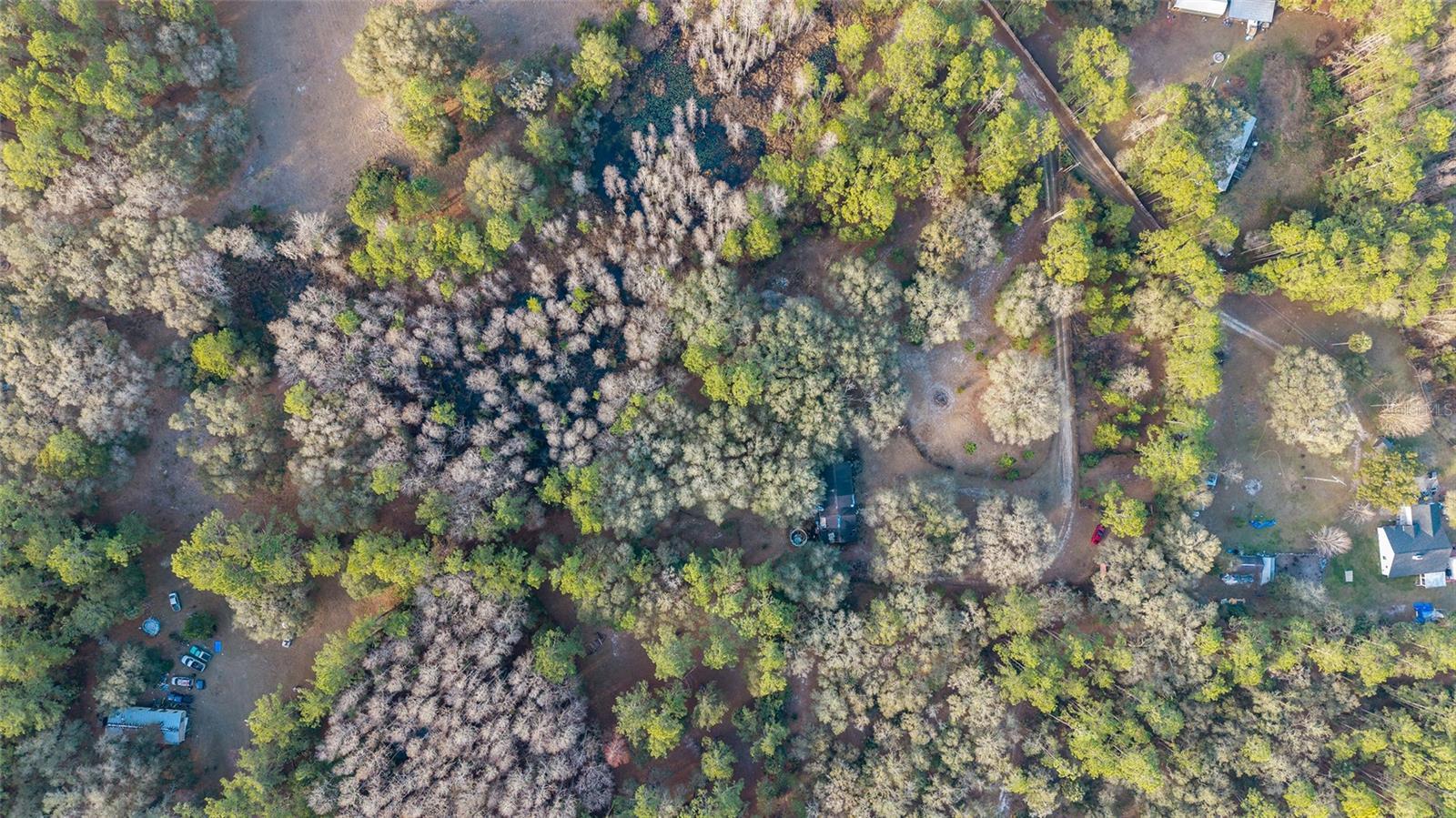 Image 34 of 41 For 12264 139th Place