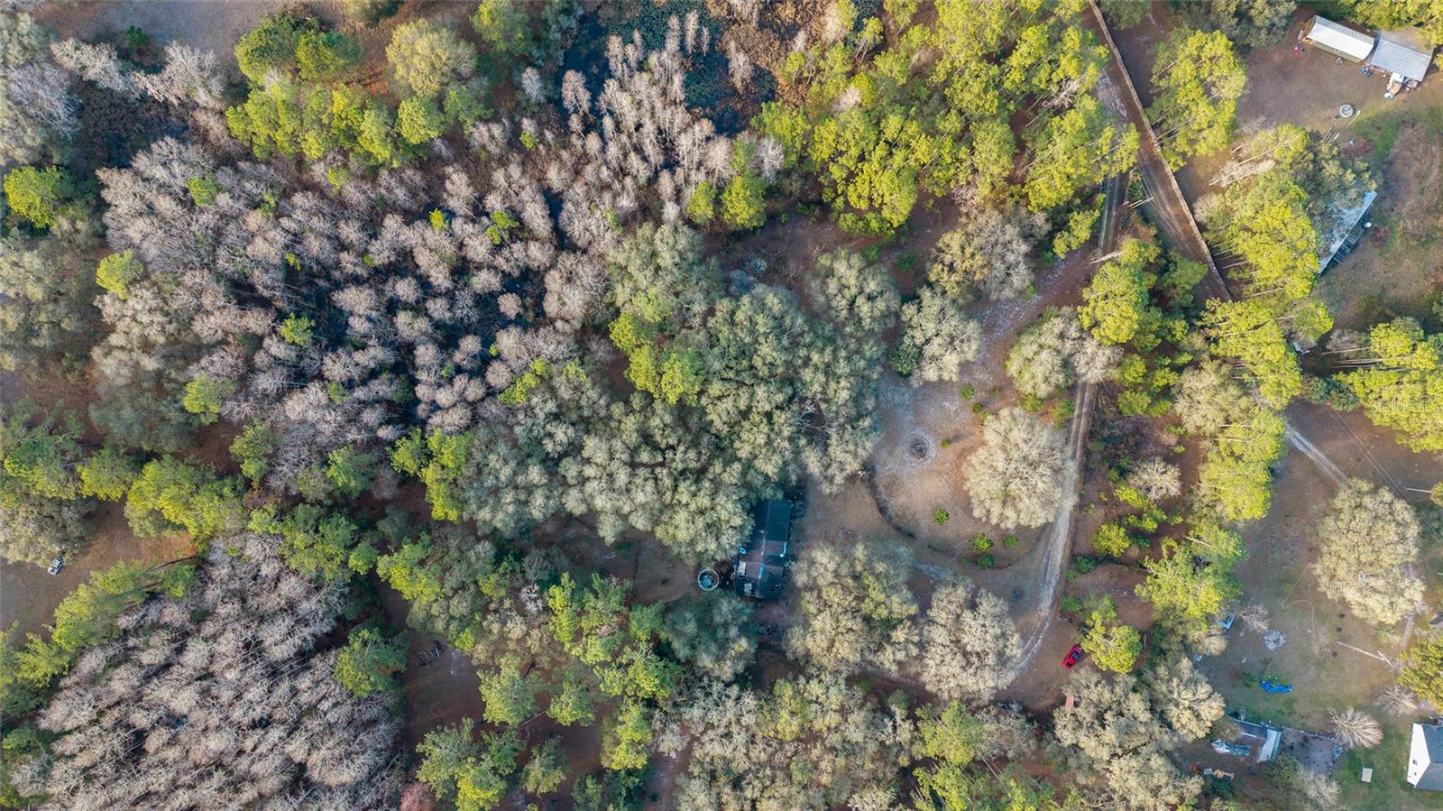 Image 35 of 41 For 12264 139th Place