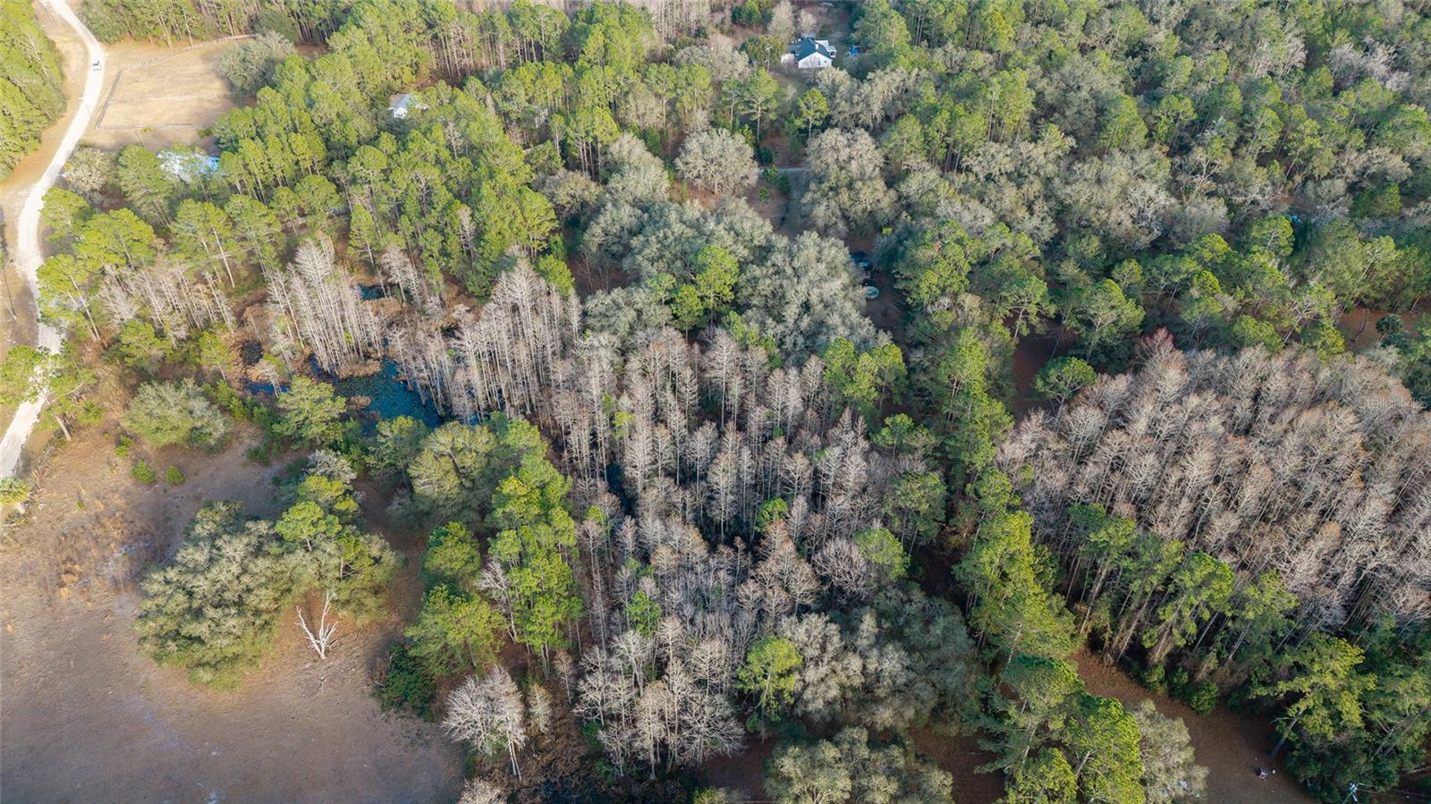 Image 37 of 41 For 12264 139th Place