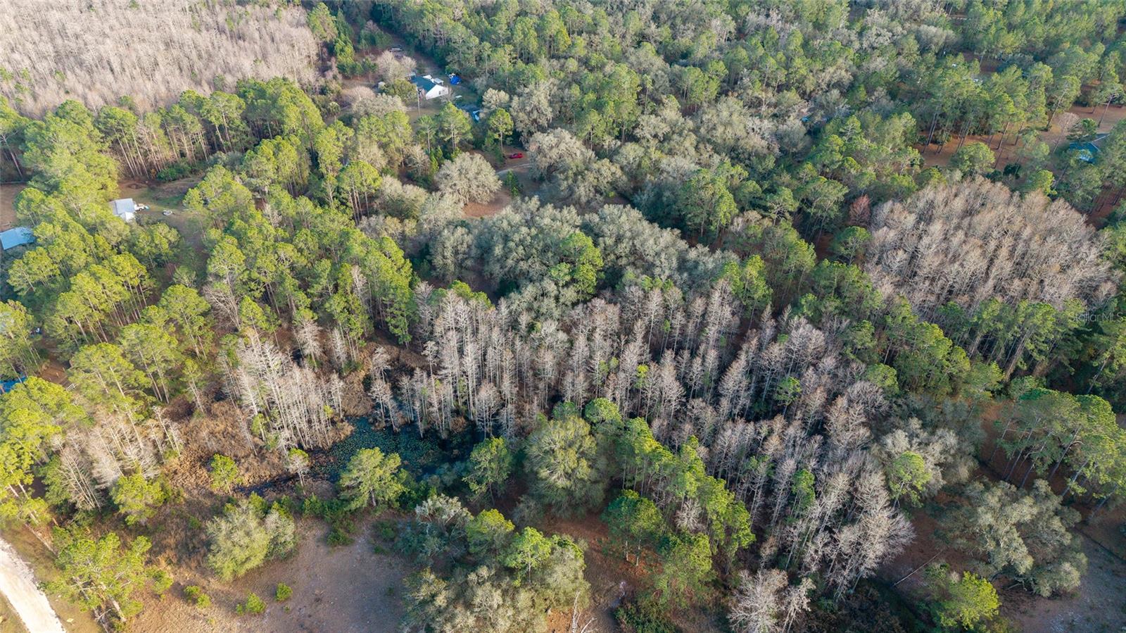 Image 38 of 41 For 12264 139th Place