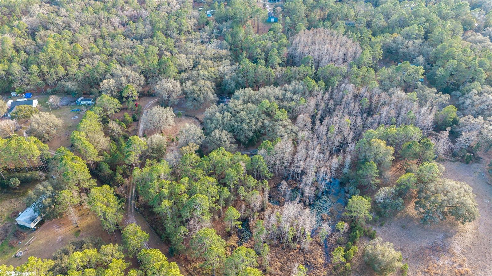 Image 39 of 41 For 12264 139th Place