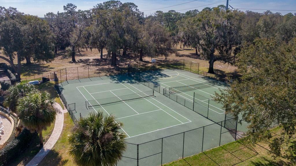 Image 43 of 54 For 33803 Terragona Drive