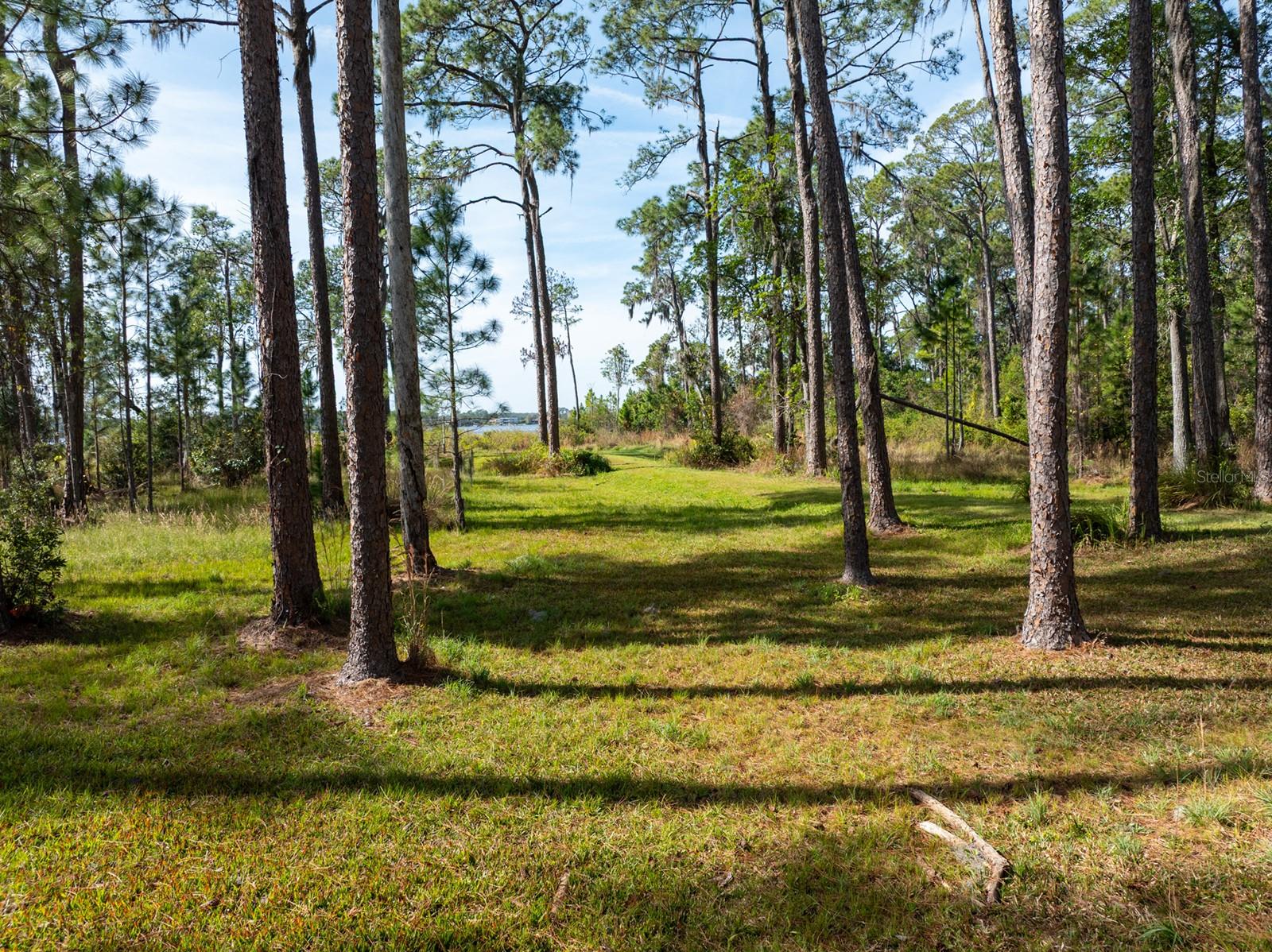 Image 15 of 21 For 8822 Winter Garden Vineland Road