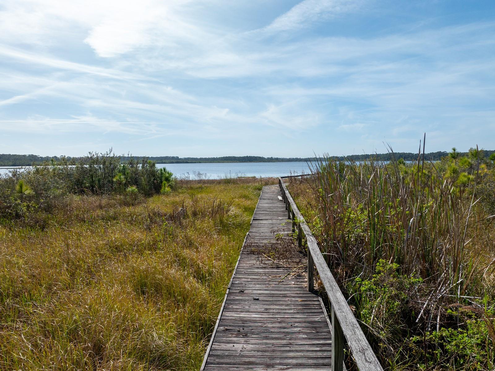 Image 16 of 21 For 8822 Winter Garden Vineland Road