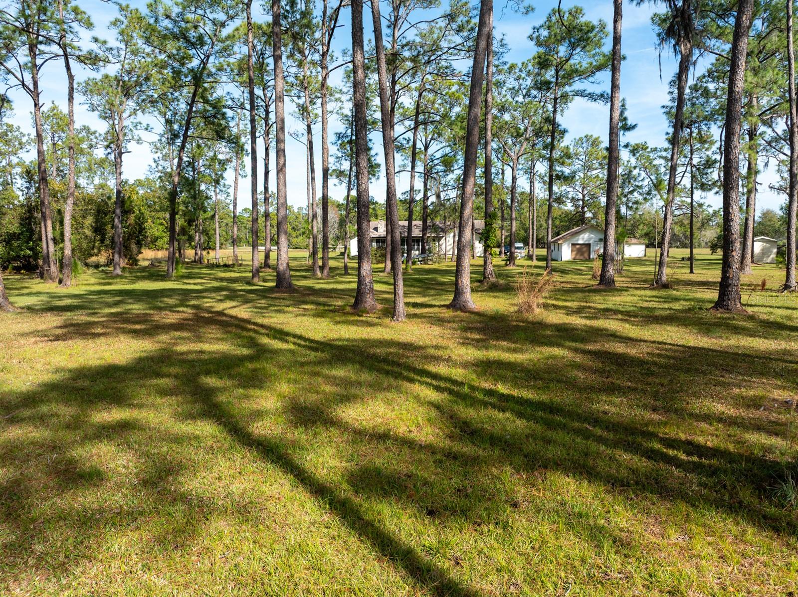 Image 19 of 21 For 8822 Winter Garden Vineland Road