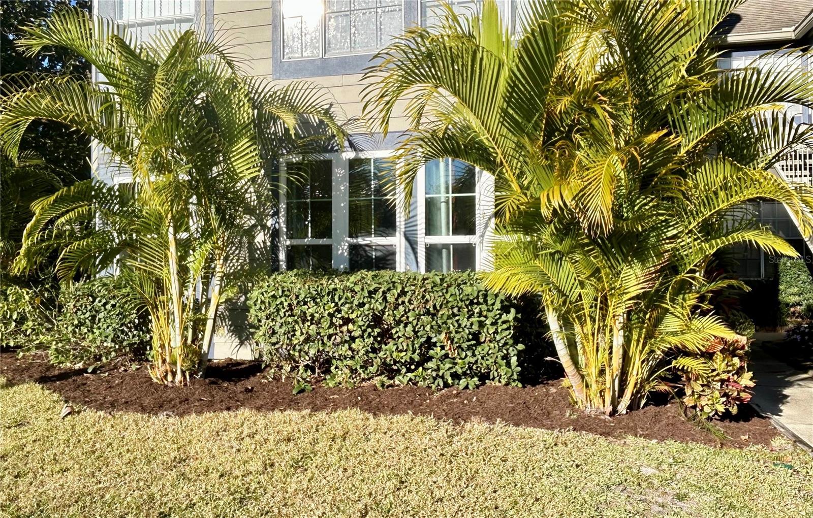 Image 36 of 45 For 936 Birmingham Court 106