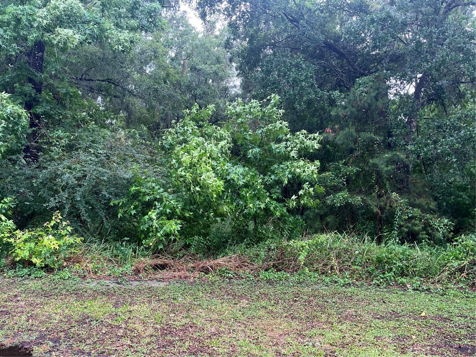 Listing photo id 0 for Sharon Street