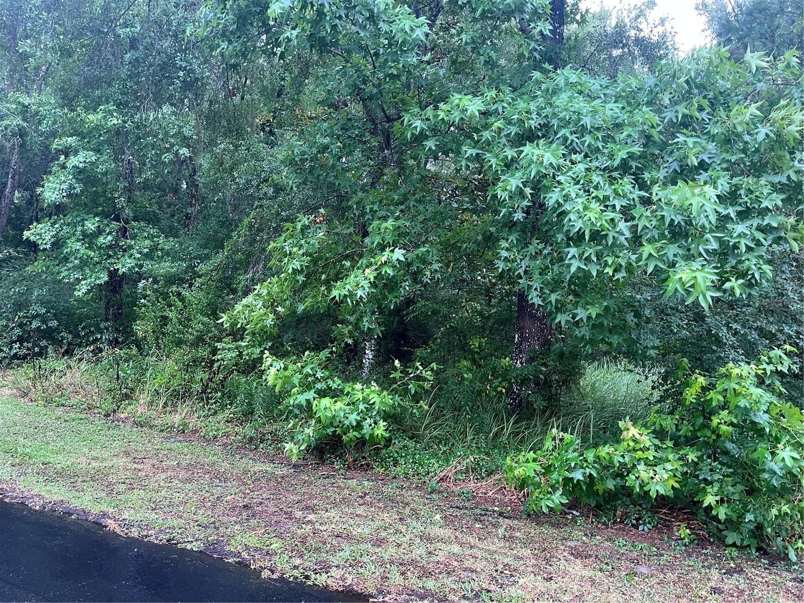 Listing photo id 1 for Sharon Street