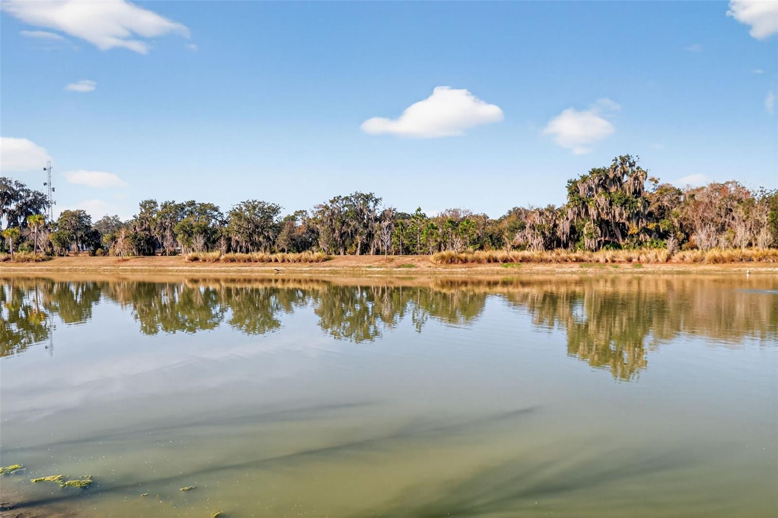 Image 40 of 45 For 4138 Burgess Drive