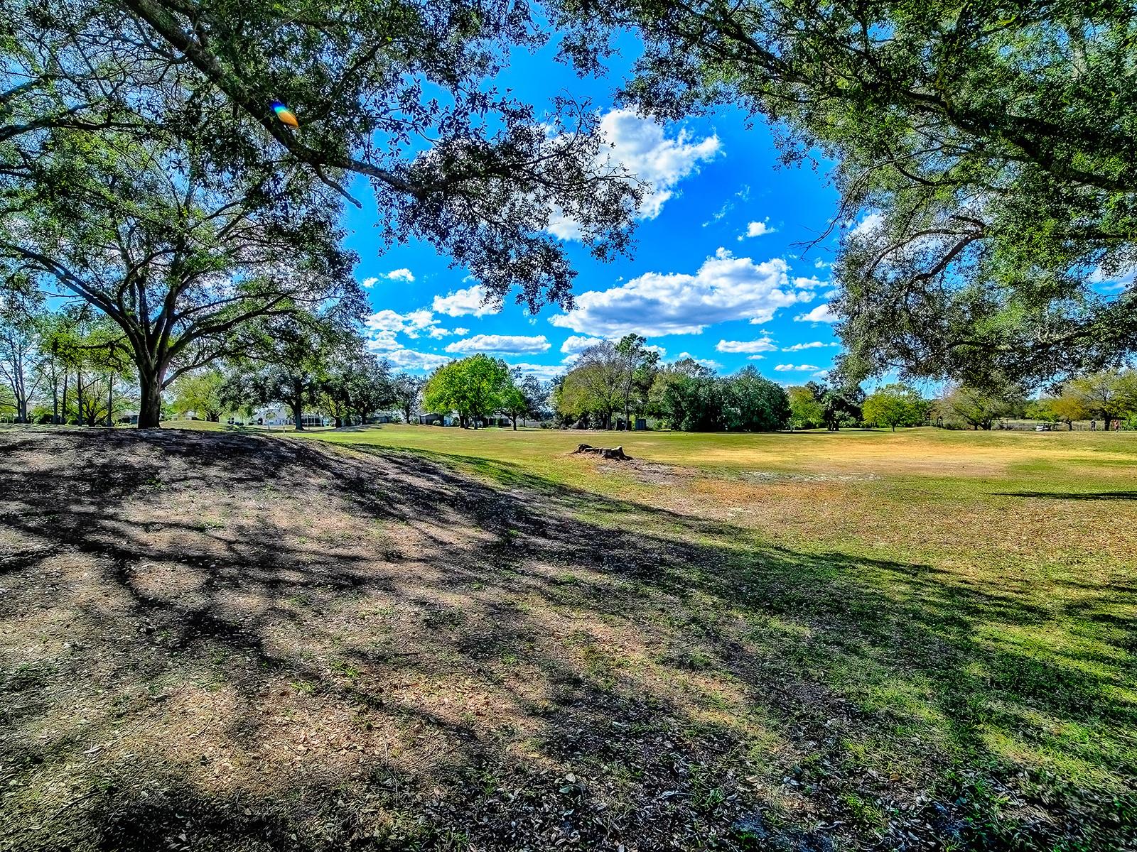 Image 30 of 43 For 24239 Belle Mede Drive