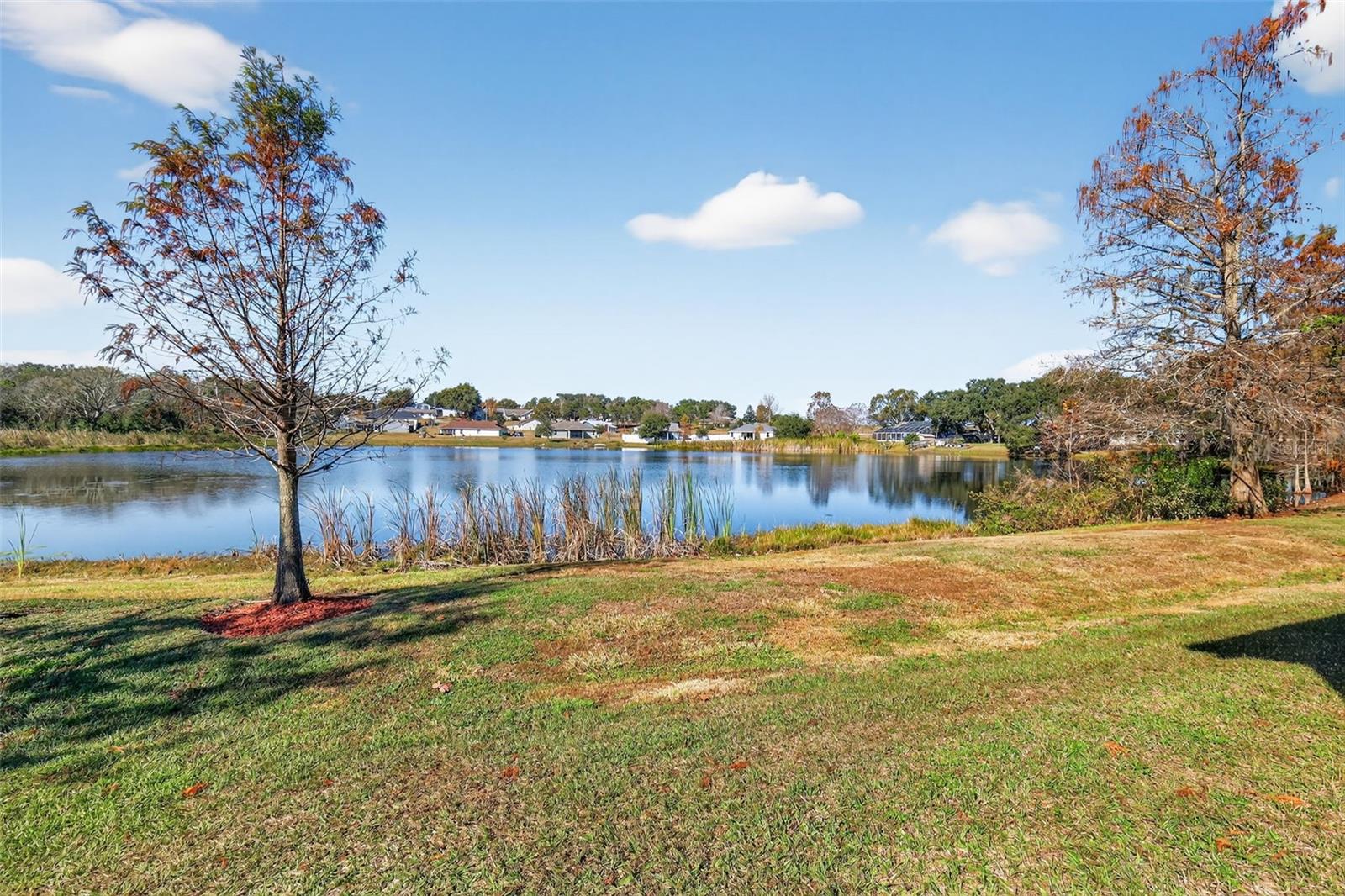 Image 23 of 36 For 17631 Doris Street