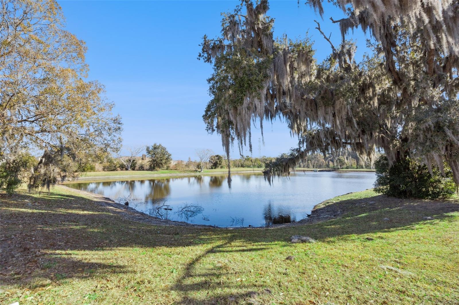 Image 35 of 35 For 2015 Orange Avenue