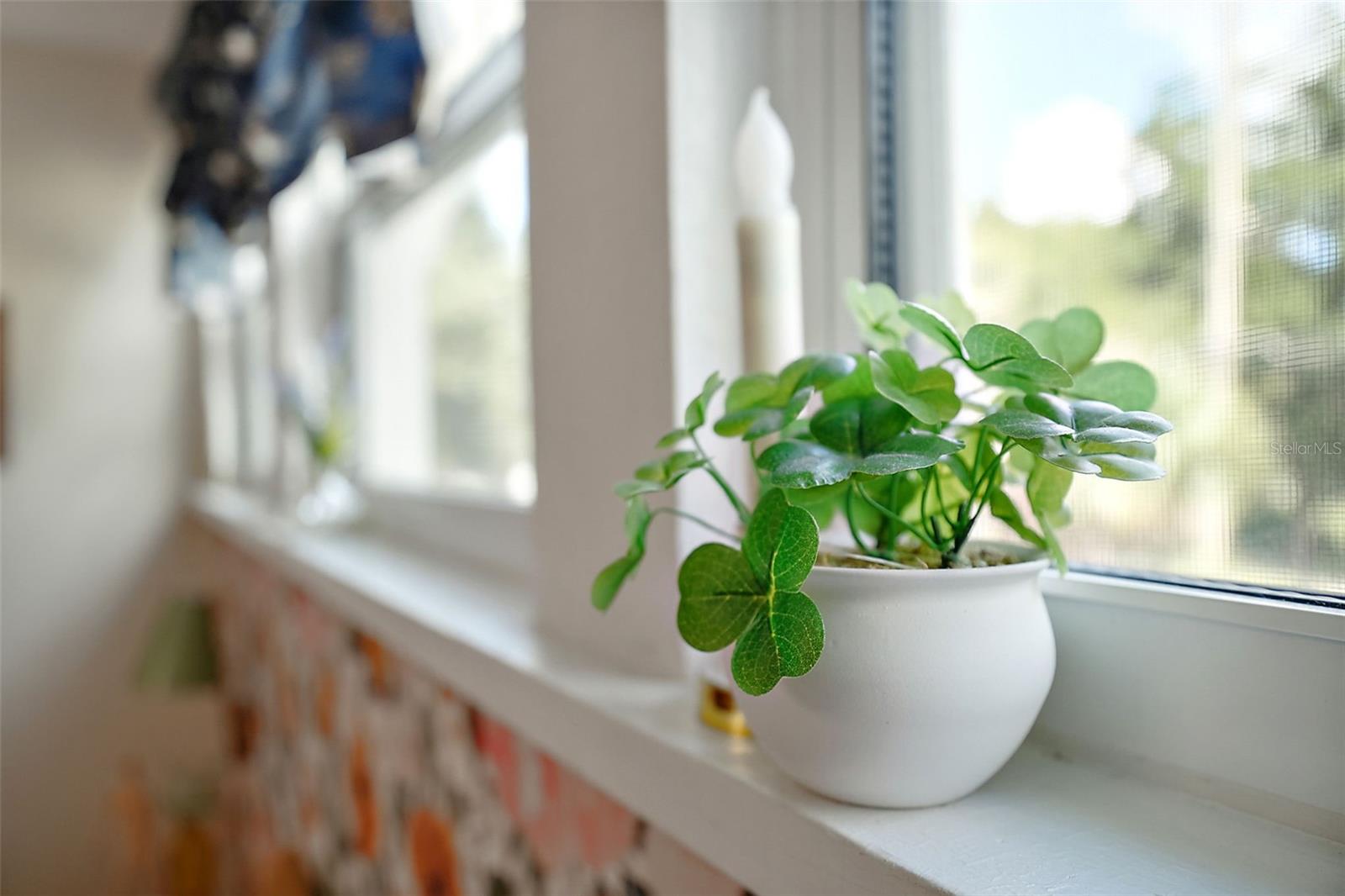 Image 33 of 45 For 831 Grandview Street