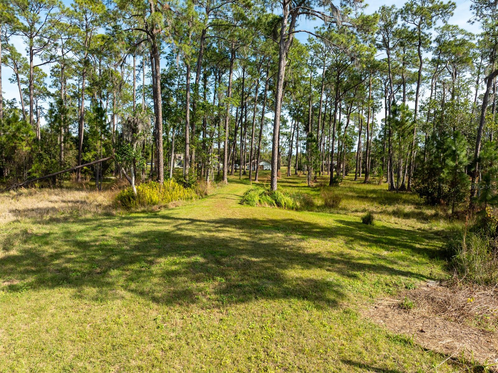 Image 10 of 12 For 8834 Winter Garden Vineland Road