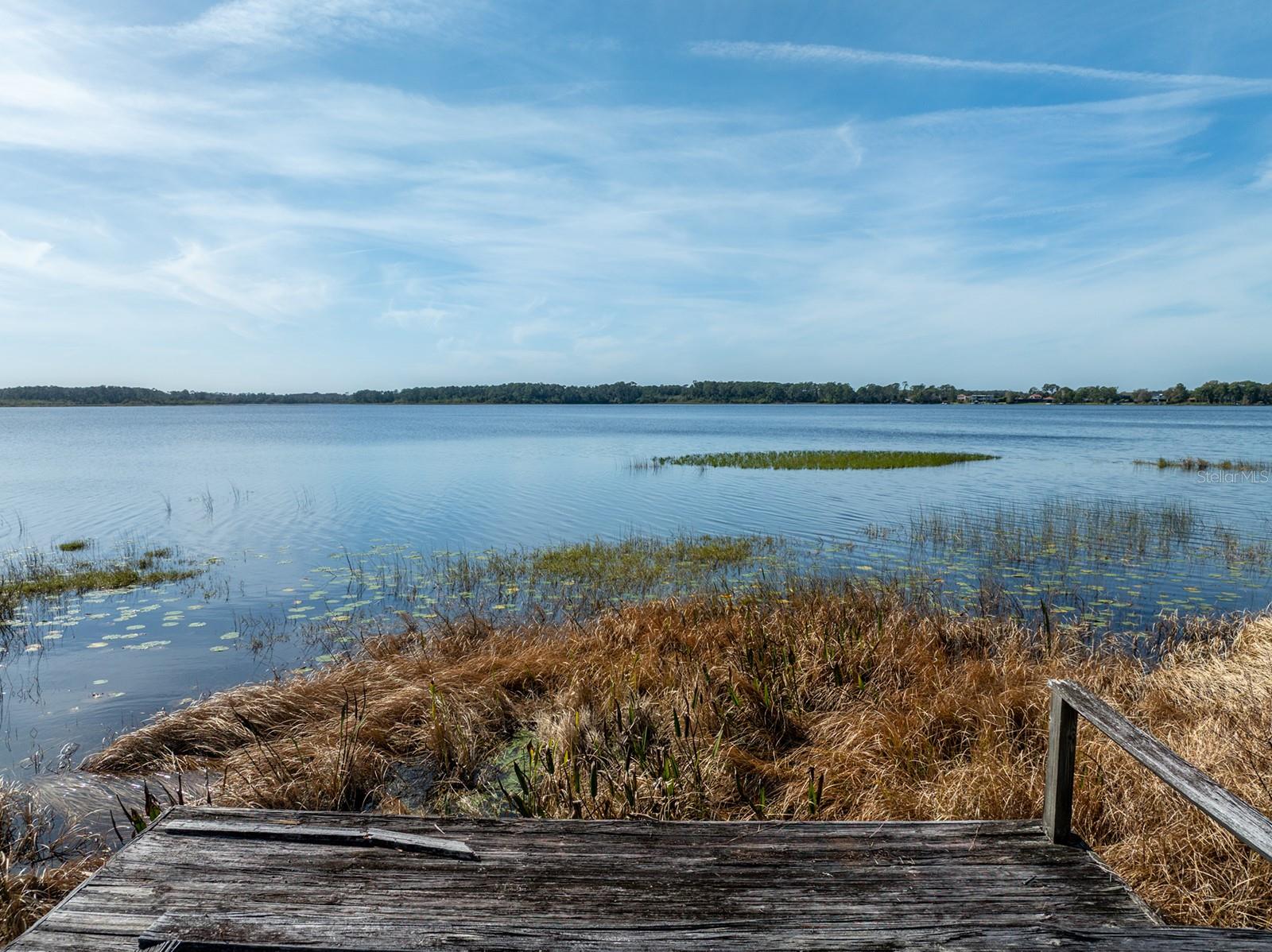 Image 7 of 12 For 8834 Winter Garden Vineland Road