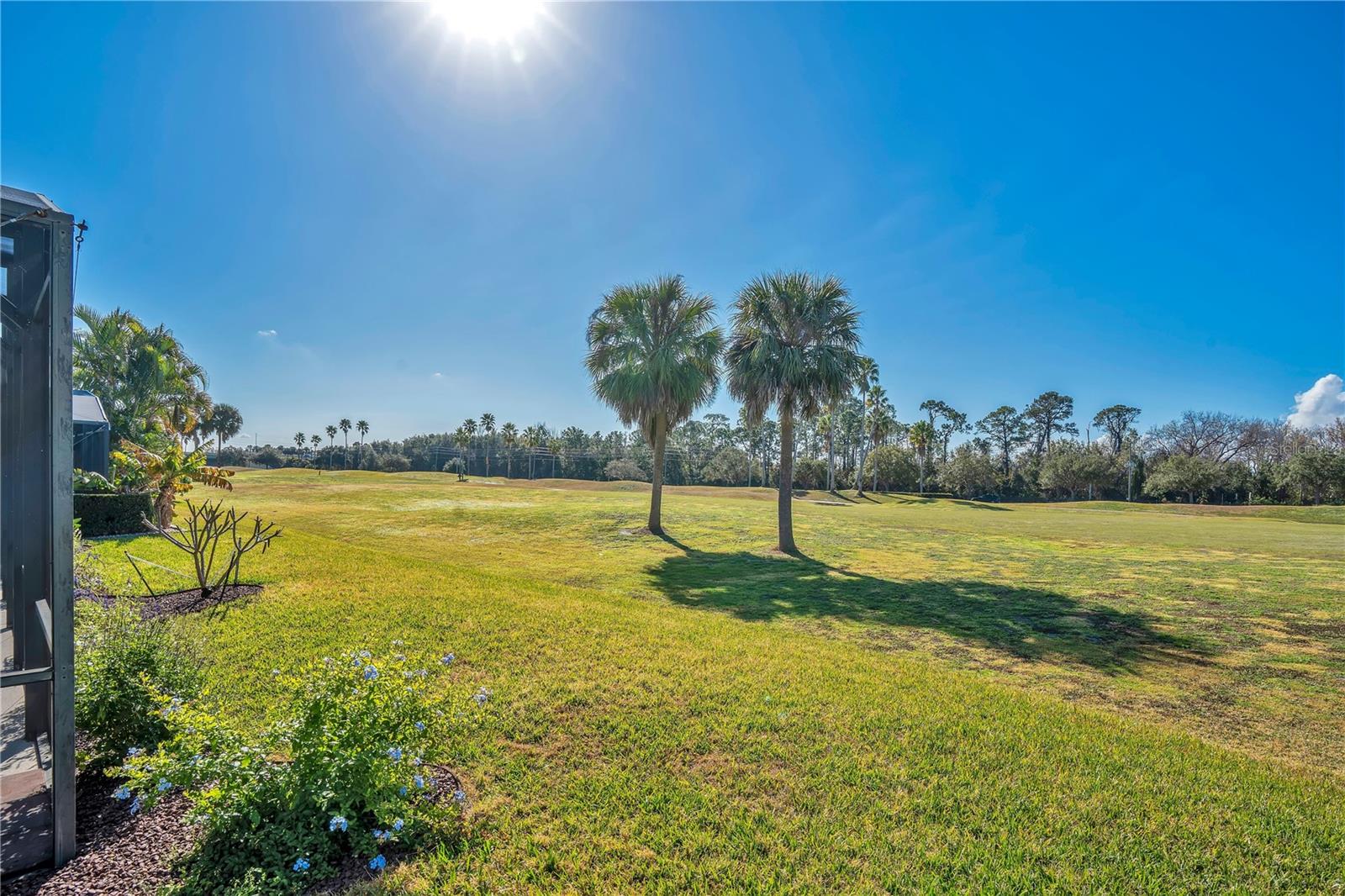 Image 50 of 80 For 14046 Fox Glove Street