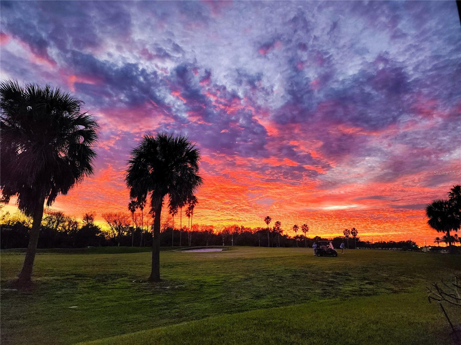 Image 67 of 80 For 14046 Fox Glove Street