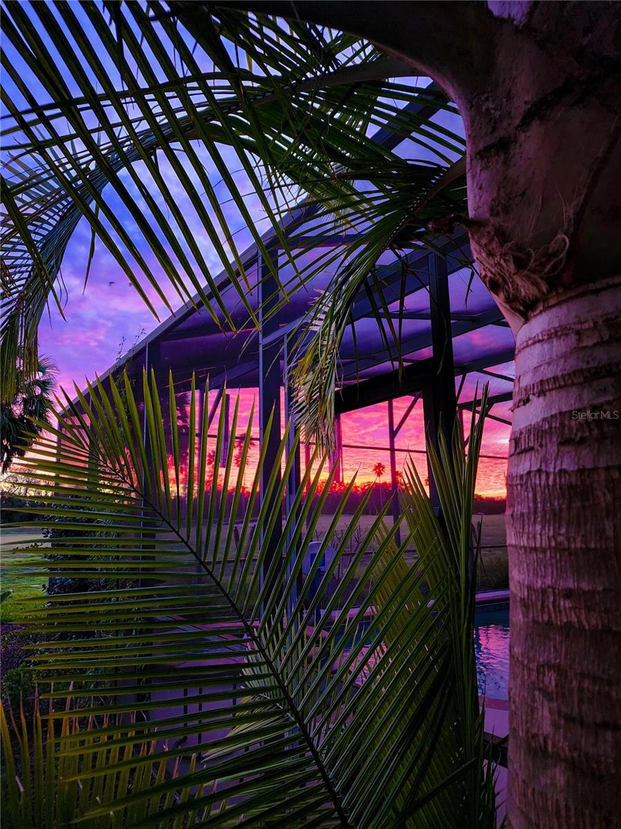 Image 68 of 80 For 14046 Fox Glove Street