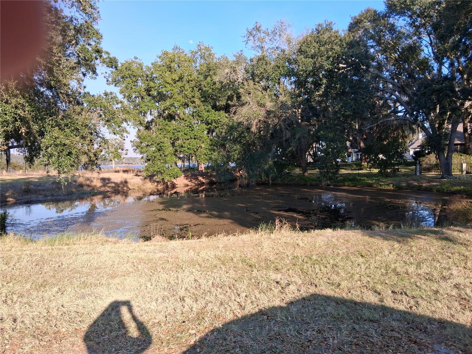 Image 4 of 4 For Mulberry Street