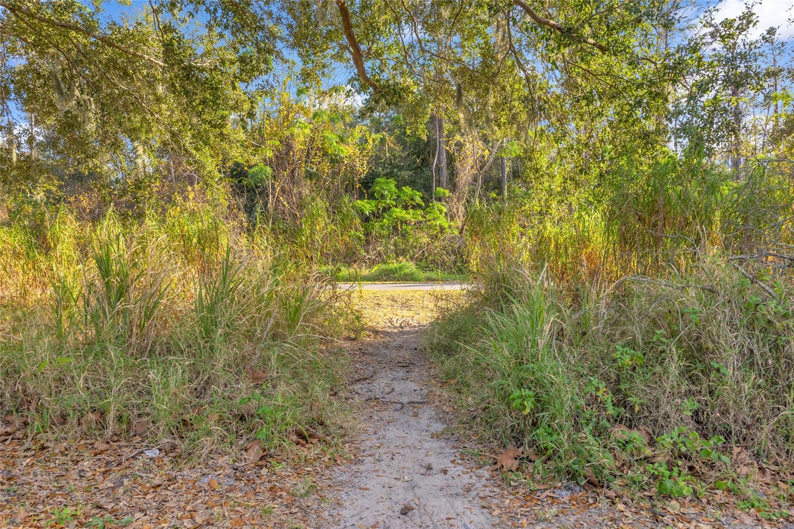 Image 57 of 58 For 906 Allendale Lane