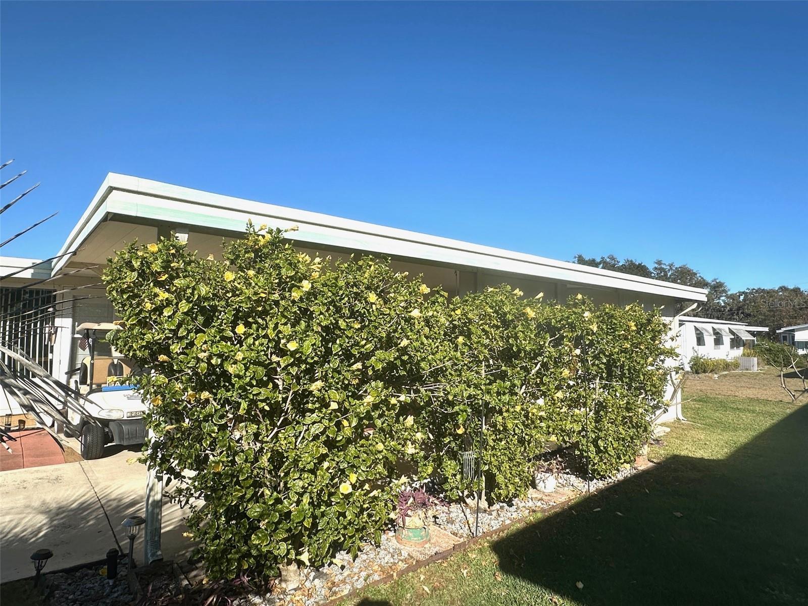 Image 3 of 15 For 428 Palo Verde Drive