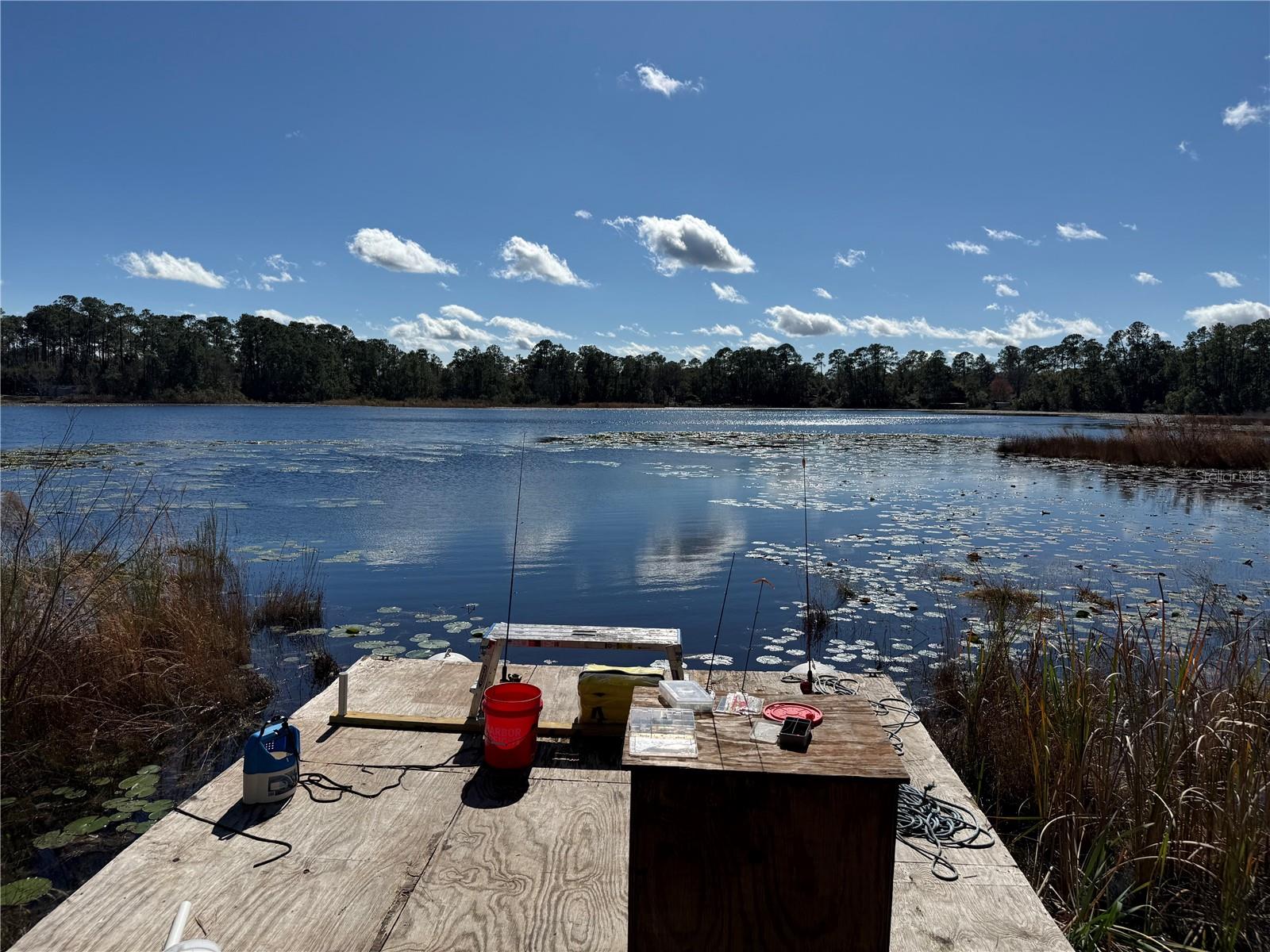 Image 44 of 50 For 27834 Veva Avenue