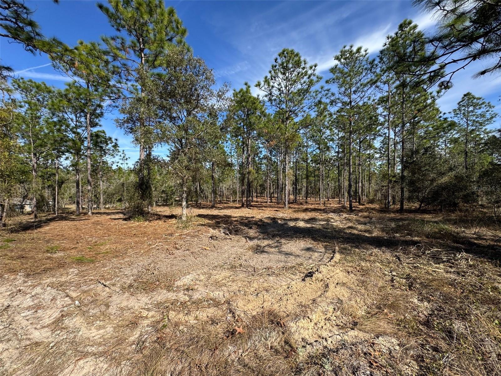 Image 7 of 10 For Obee Ridge Road