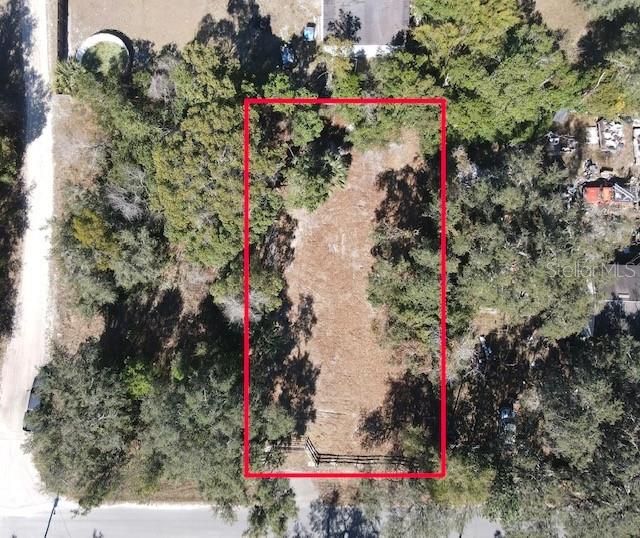 Image 3 of 8 For Azalea Avenue