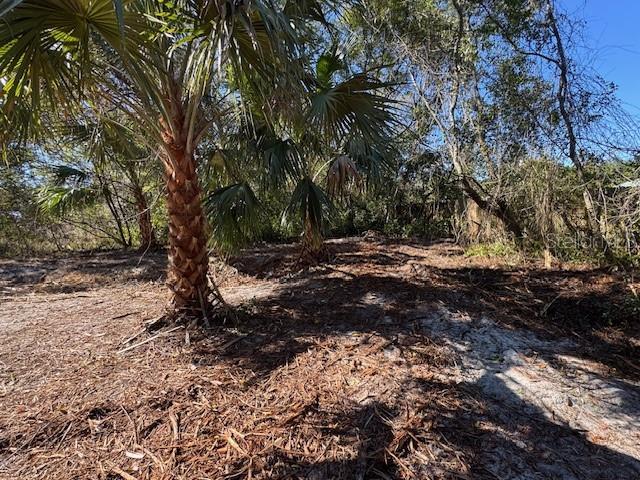 Image 5 of 8 For Azalea Avenue