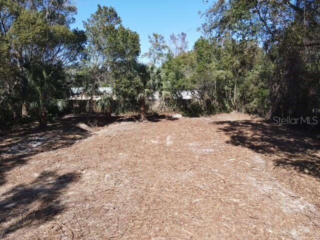 Image 6 of 8 For Azalea Avenue