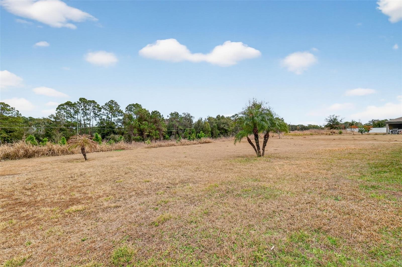 Image 25 of 34 For 12058 Callicarpa Lane