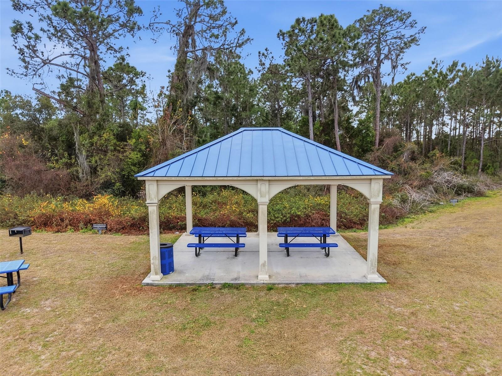 Image 29 of 34 For 12058 Callicarpa Lane