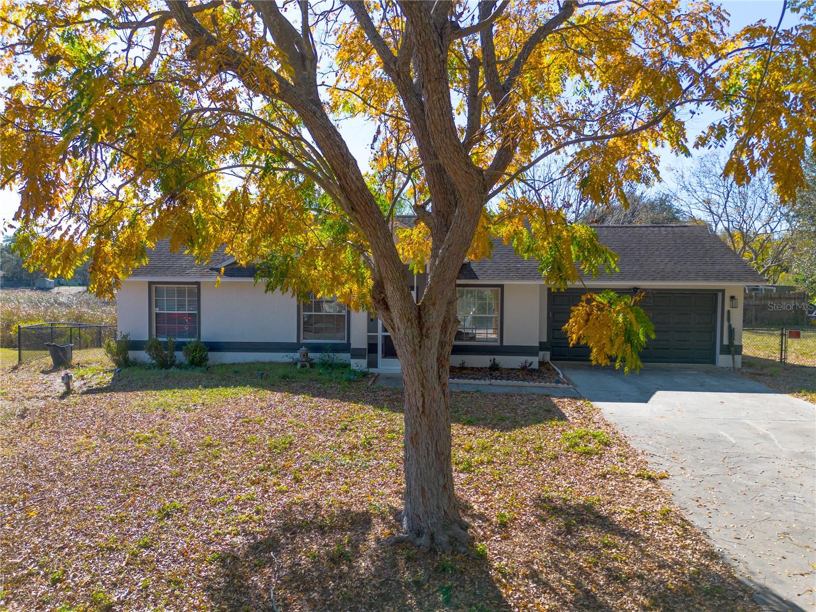 Image 22 of 23 For 301 Chester Street