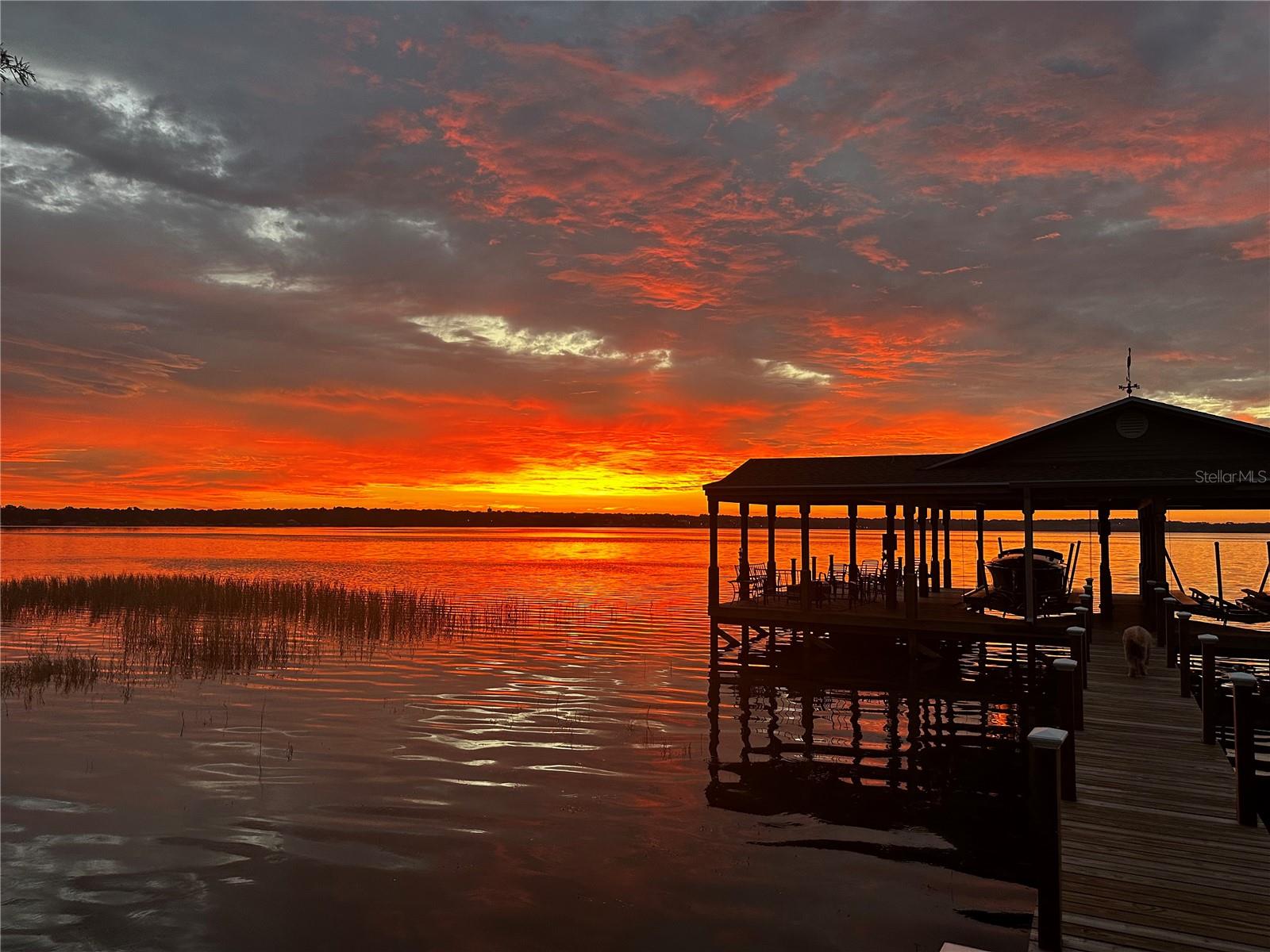 Listing photo id 0 for 3111 Lakeshore Drive