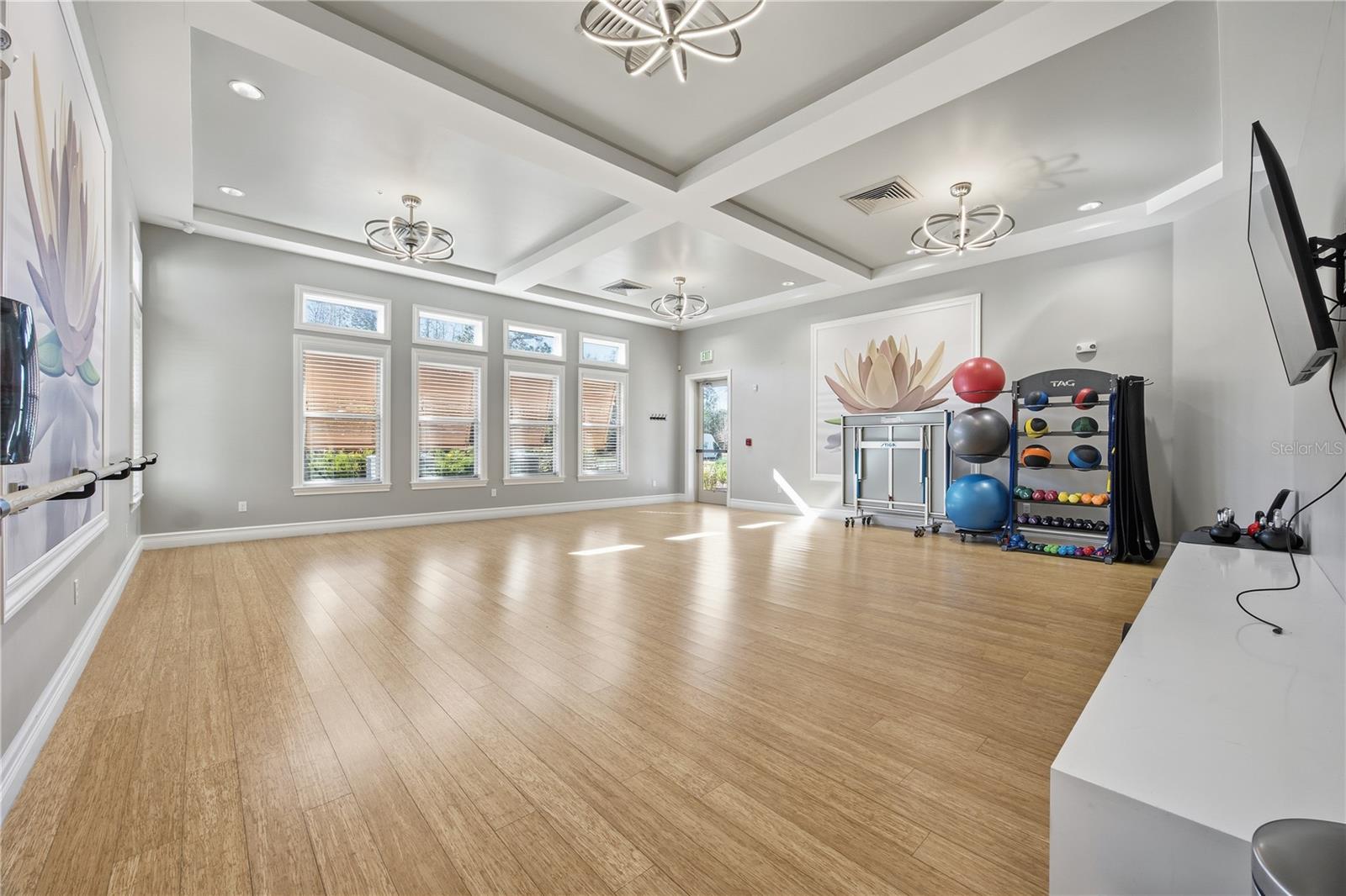 Image 42 of 46 For 17325 Blazing Star Cir