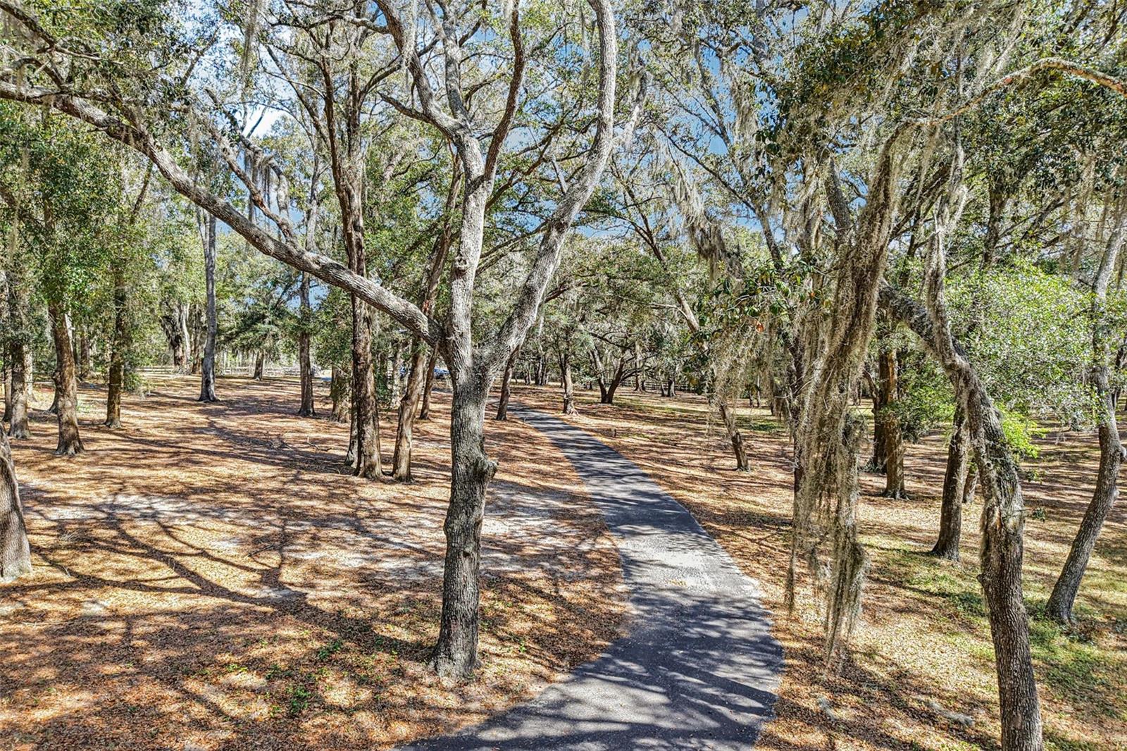 Image 35 of 61 For 36530 Lazy B Lane