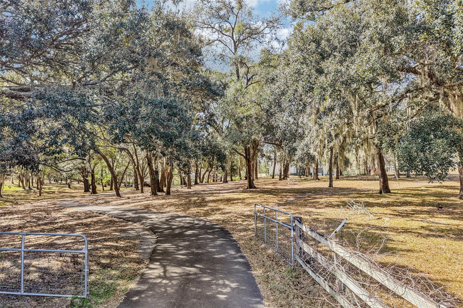 Image 43 of 61 For 36530 Lazy B Lane