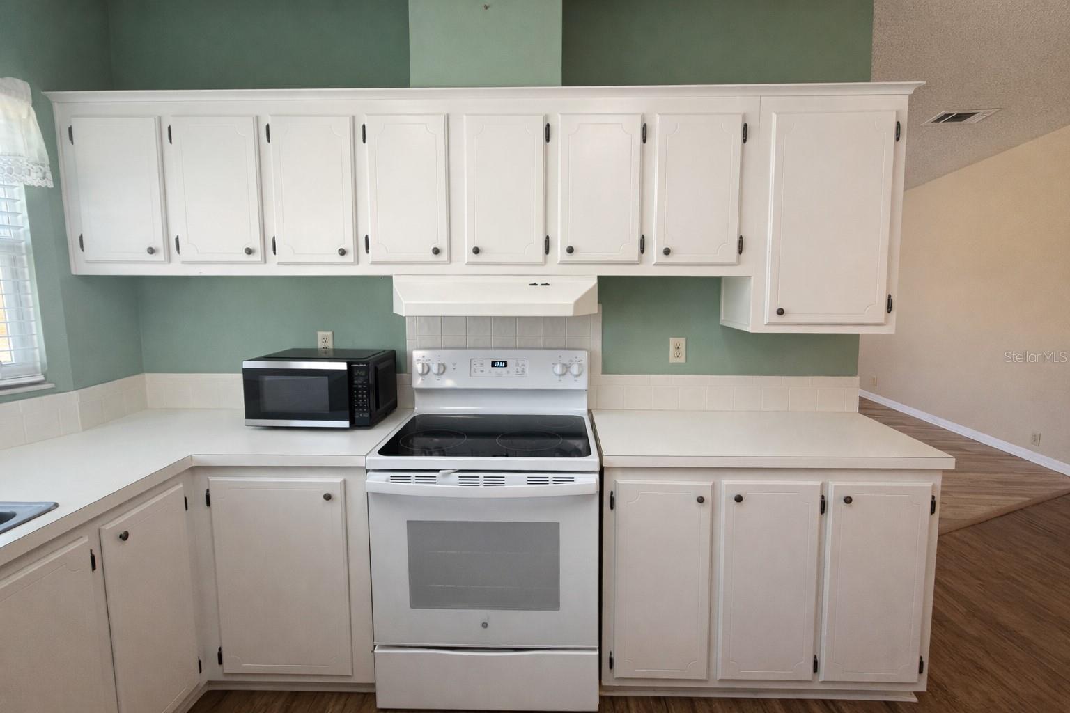 Image 11 of 27 For 25308 Casa Del Lago Lane