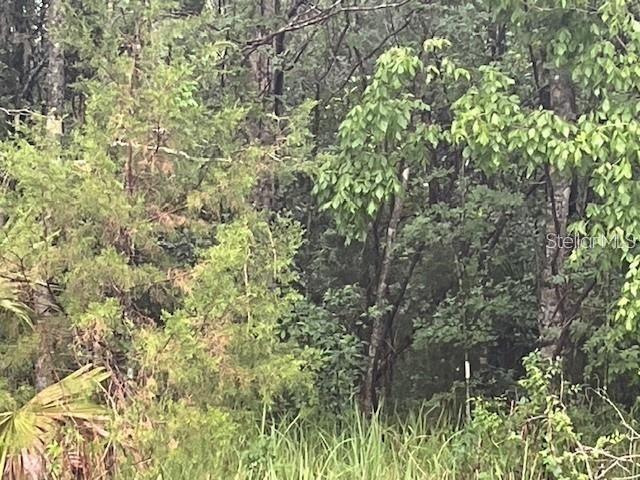 Image 2 of 3 For Sharon Street