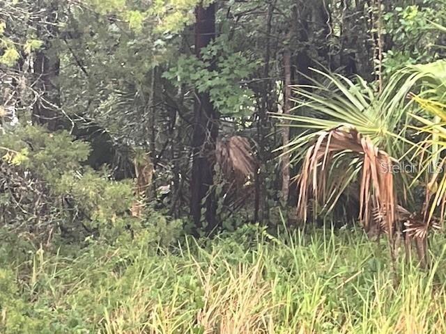 Image 3 of 3 For Sharon Street