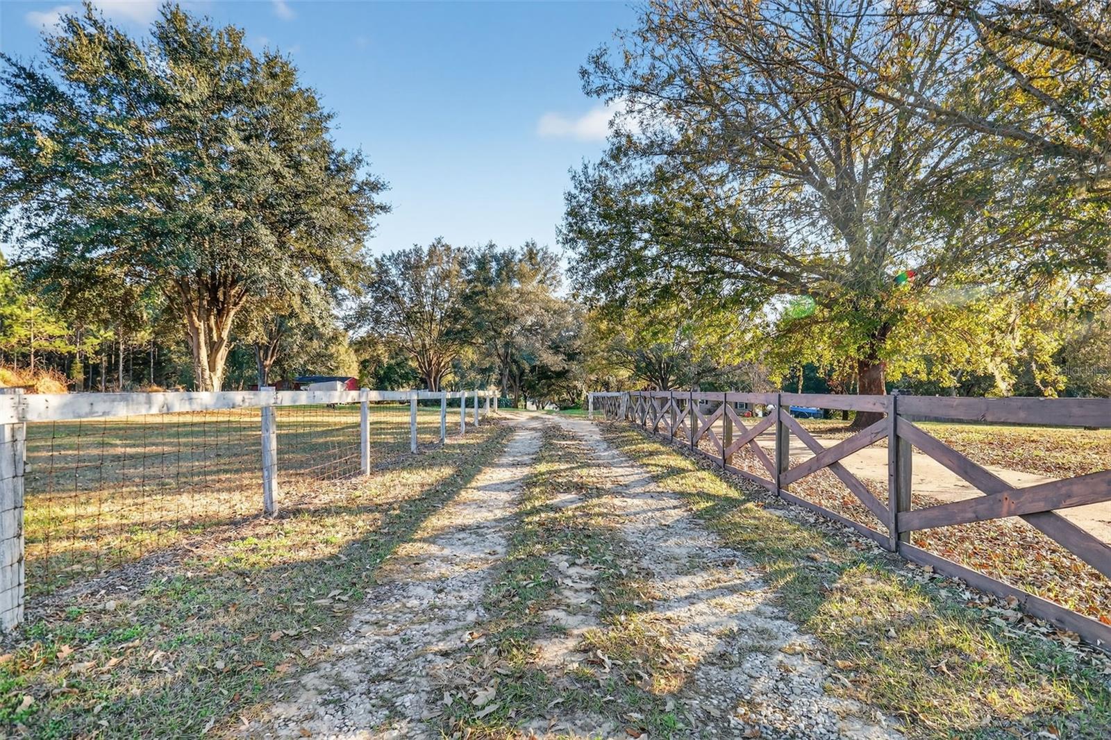 Image 6 of 84 For 29714 Highway 42