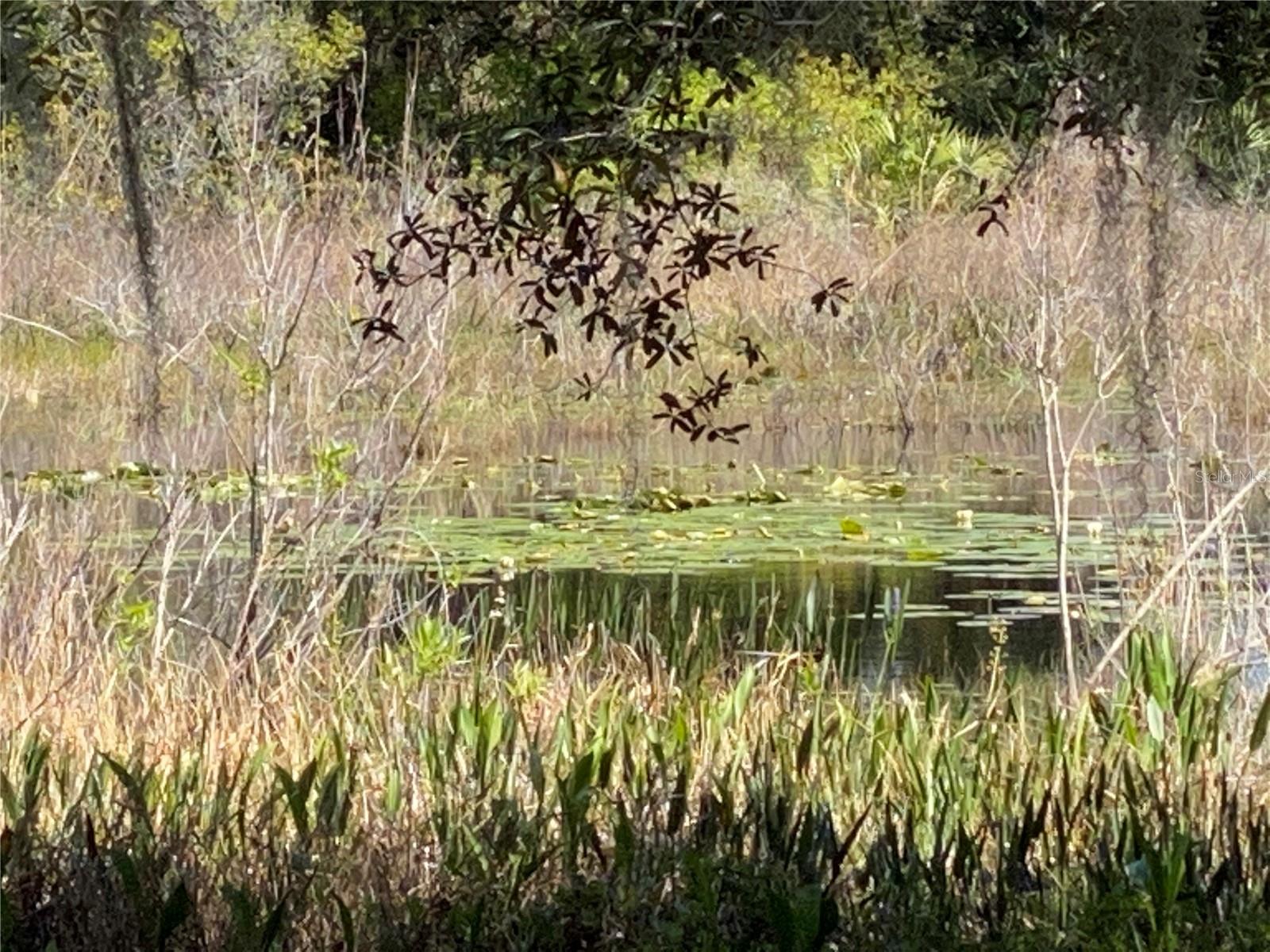 Image 50 of 56 For 25517 Laurel Valley Road