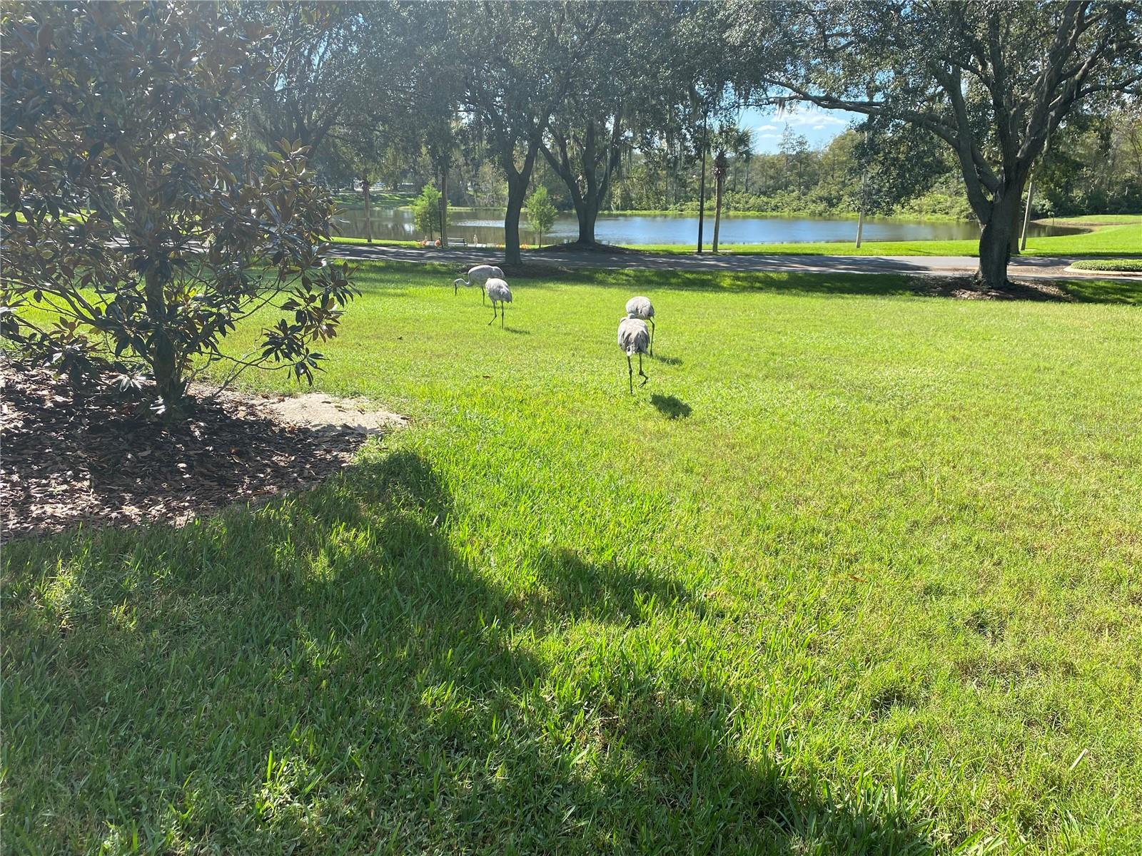 Image 51 of 56 For 25517 Laurel Valley Road