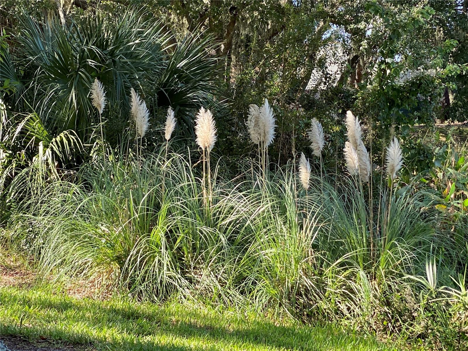 Image 52 of 56 For 25517 Laurel Valley Road