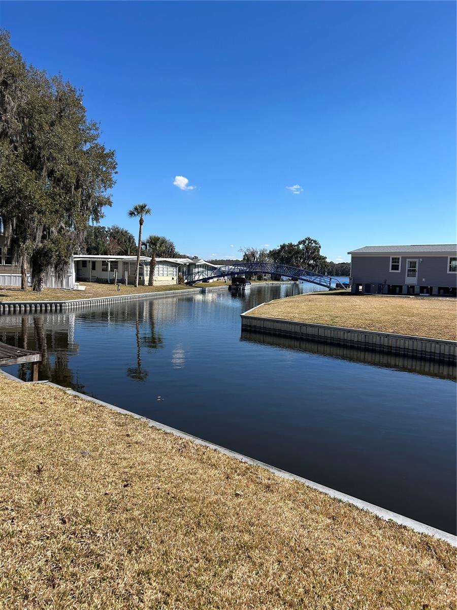 Image 11 of 14 For 40 Sabal Palm Circle