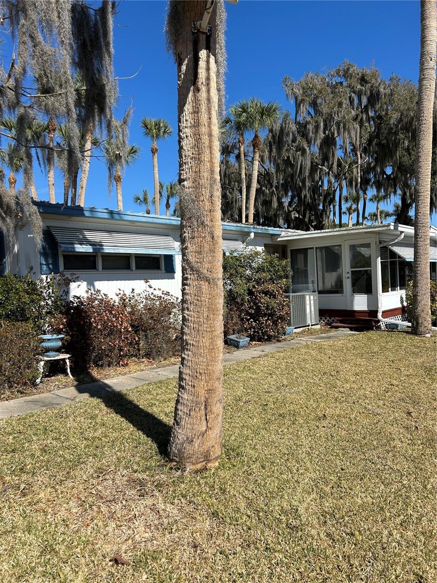 Image 2 of 14 For 40 Sabal Palm Circle