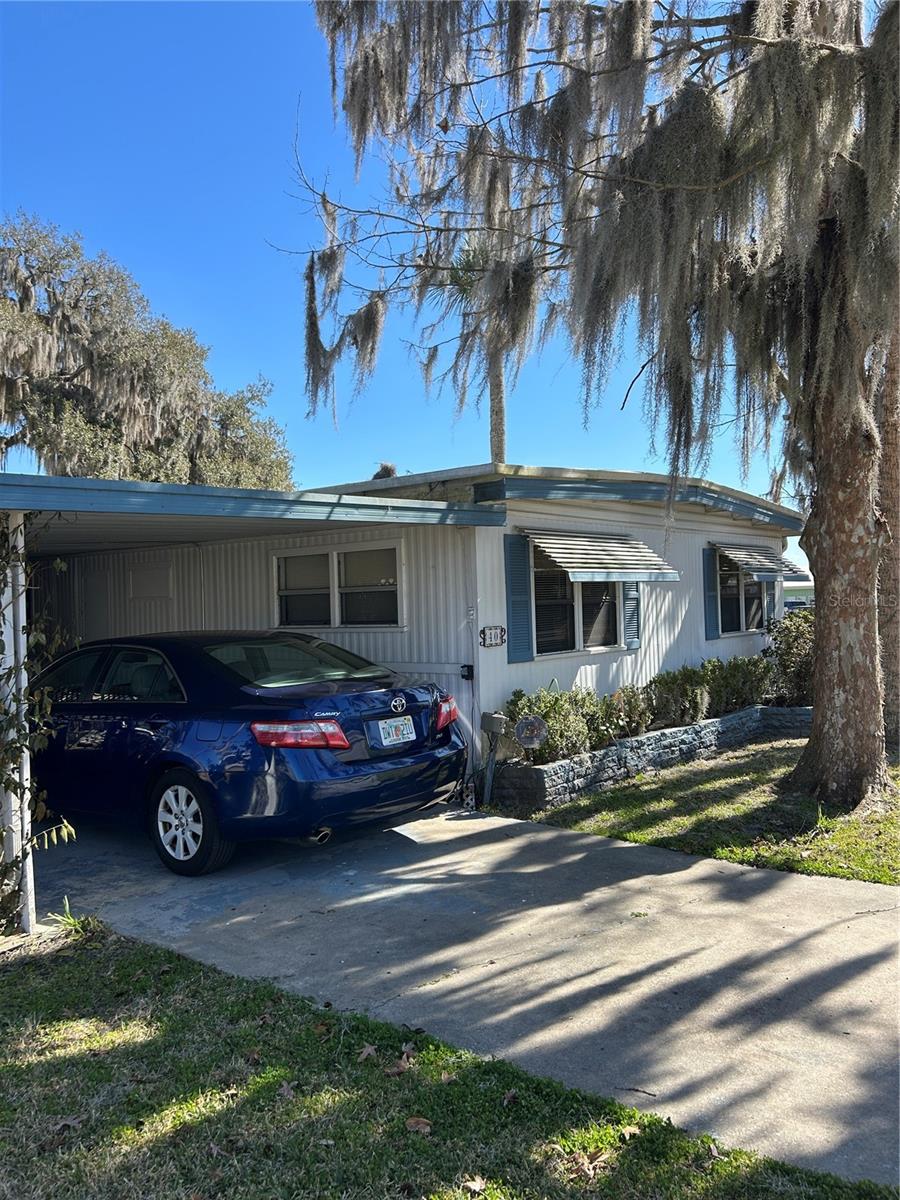 Image 5 of 14 For 40 Sabal Palm Circle